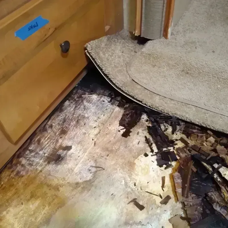 Wood Floor Water Damage in Jones County, NC